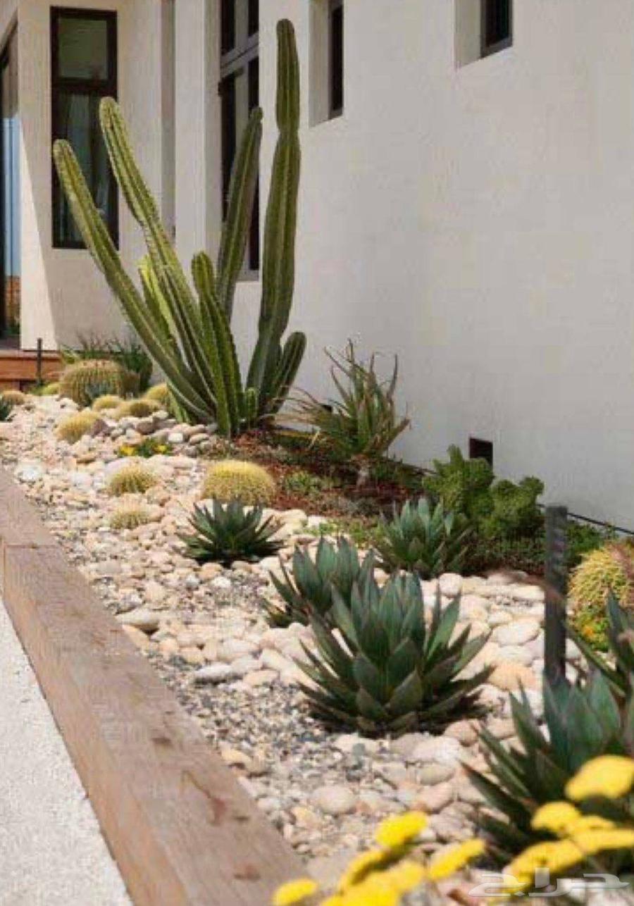 ابو رزان لتنسيق الحدائق64160922477313114