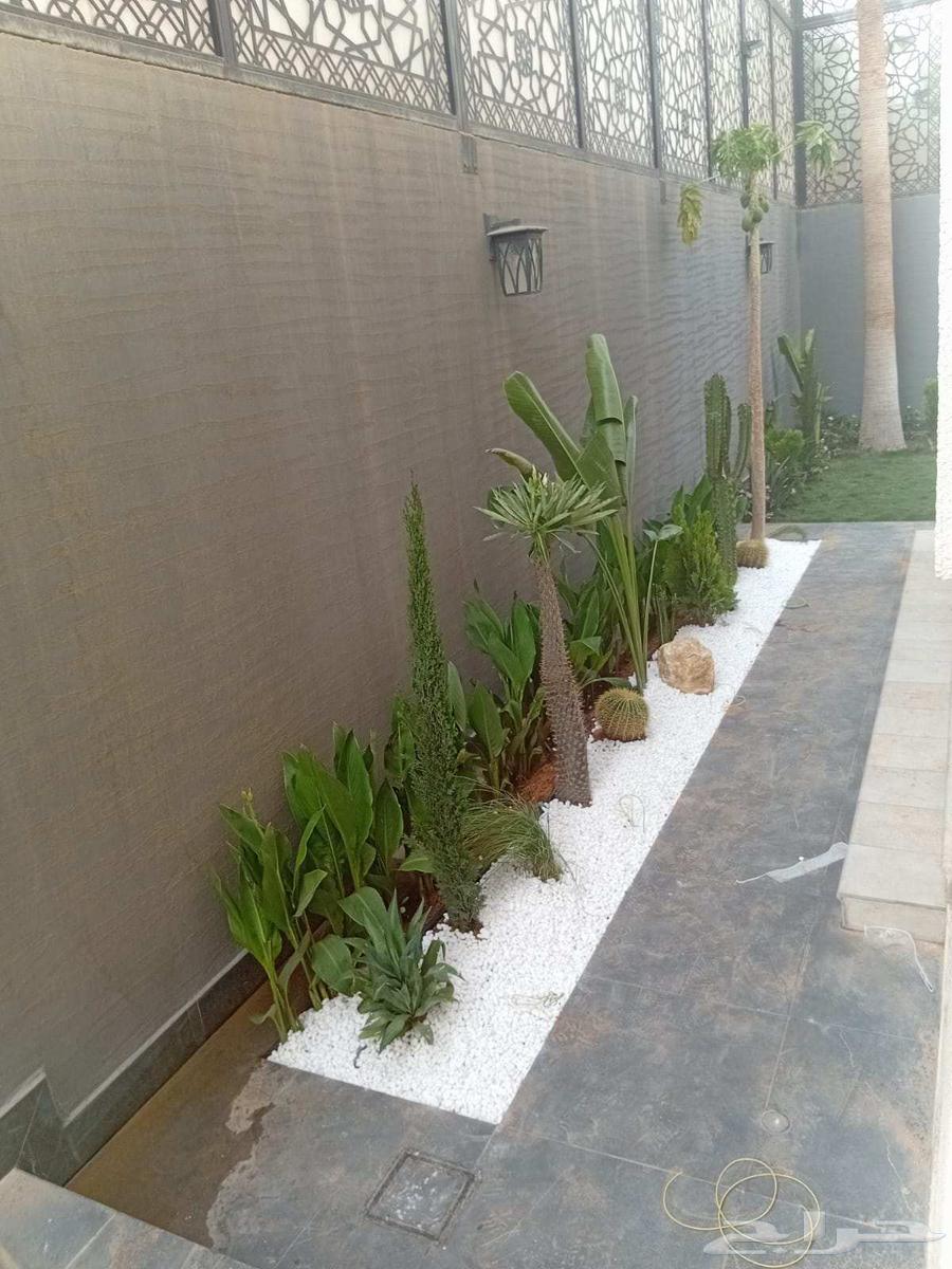 ابو رزان لتنسيق الحدائق64160922477313112