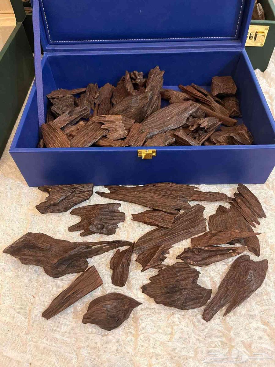 عروض العود الفاخر خدمه توصيل سريع64624989731715112