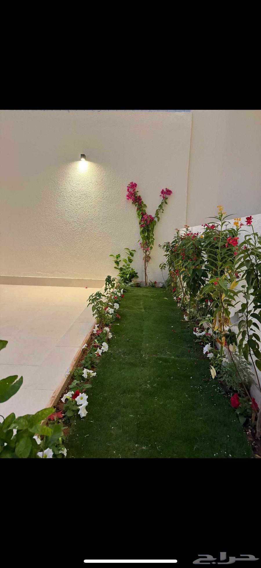 تنسيق حدائق بنواعها64160919456897113