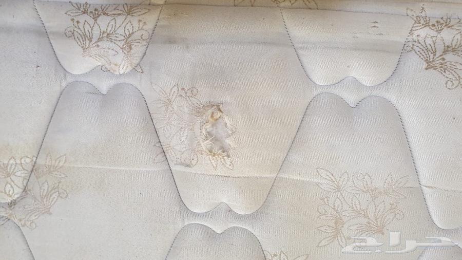 King Size64626078444801114