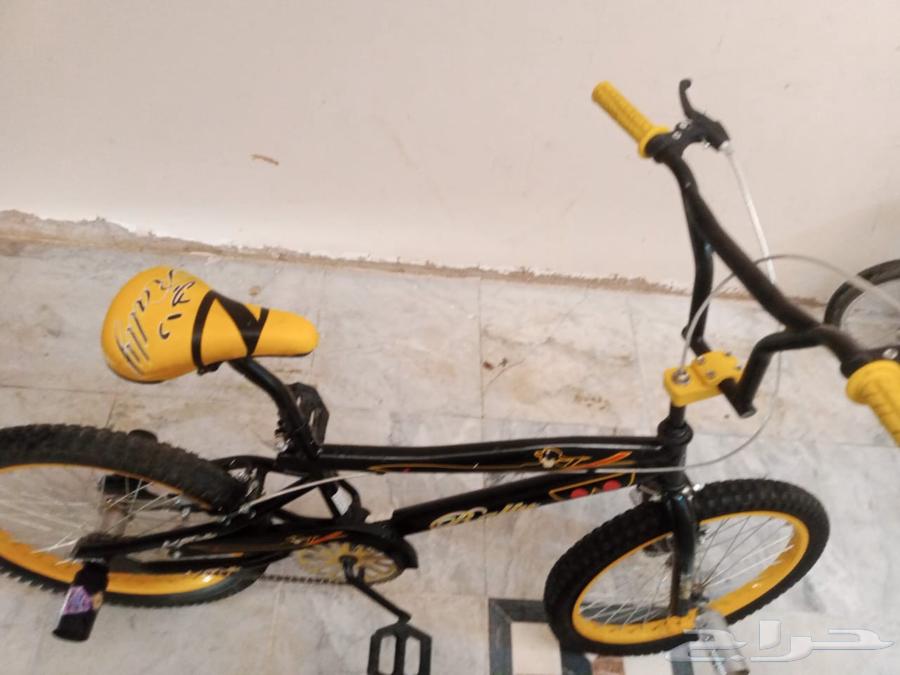 نظيف جدا جدا إستخدام قليل التواصل على الواتس64620630567043112