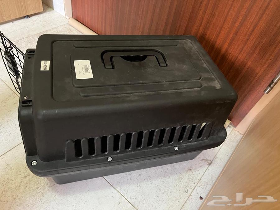 اغراض قطو للبيع64620205115907112