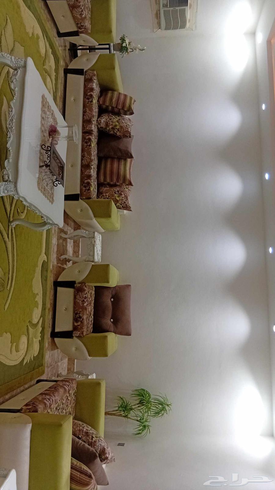 Three-Year Clean Usage Sofa Set with Curtains and Carpet64616467781377112