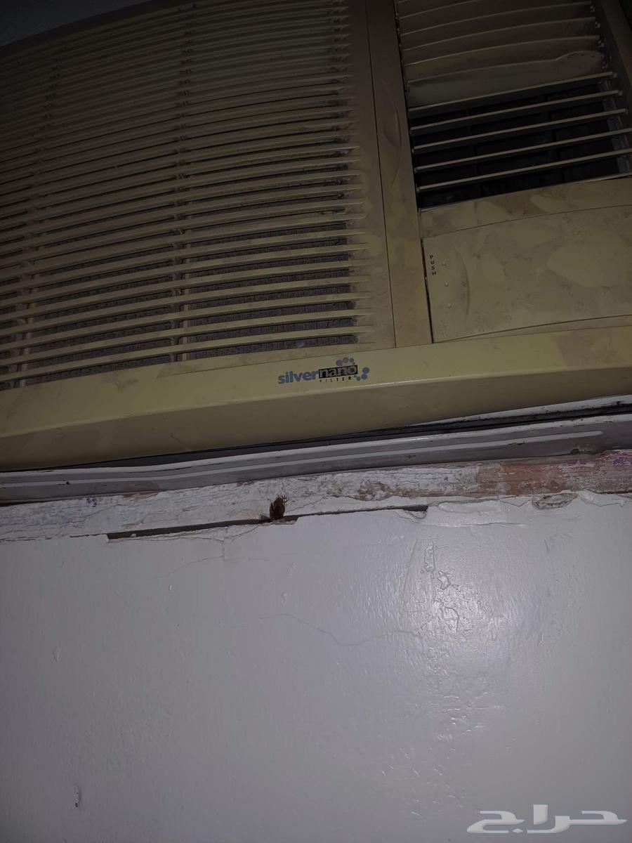 مكيف شباك اثنين للبيع الواحد 50064623072944387110