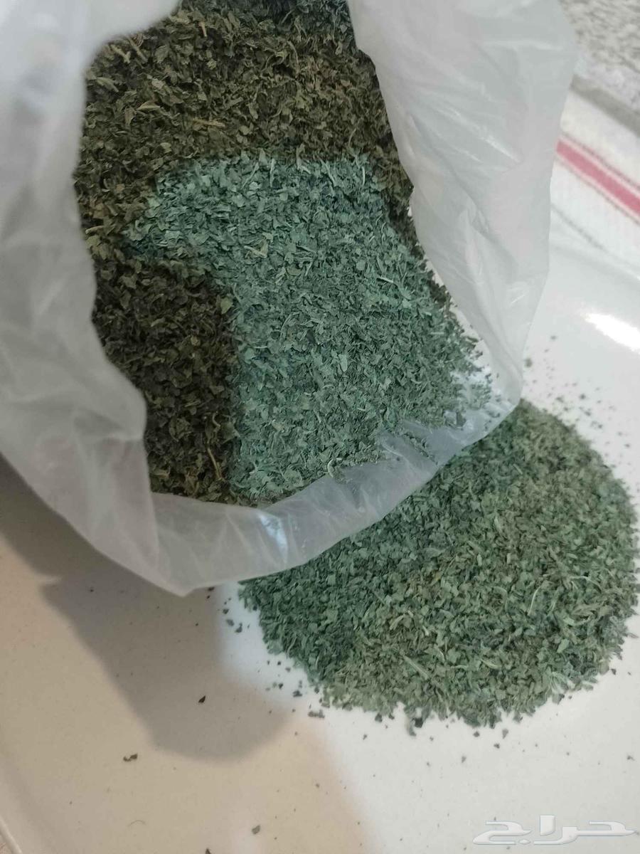 ملوخيه مجففه نظيفة شغل بيت الكيلو 5064623863332738110