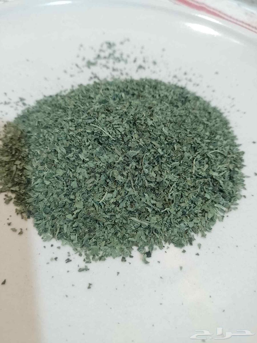 ملوخيه مجففه نظيفة شغل بيت الكيلو 5064623863332738111