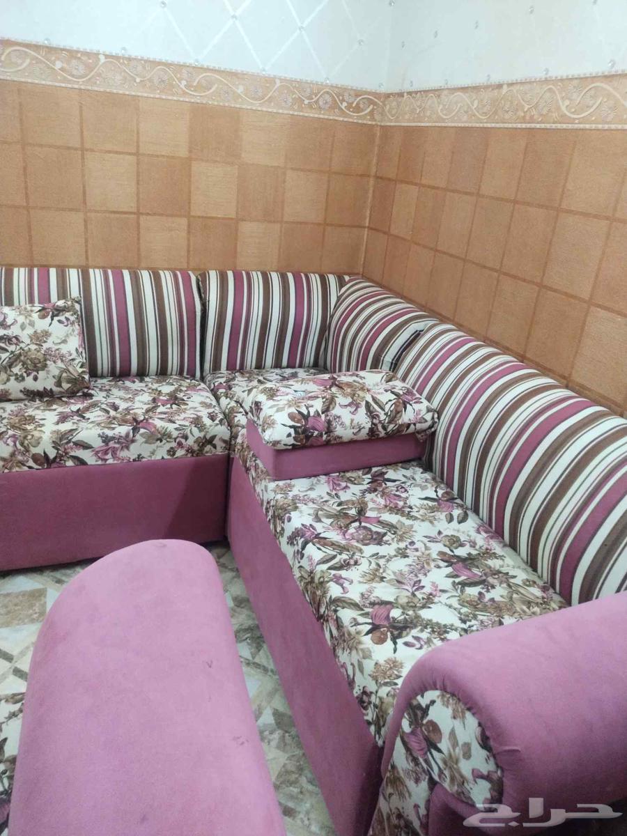 كنب مجلس للبيع64620568170755112