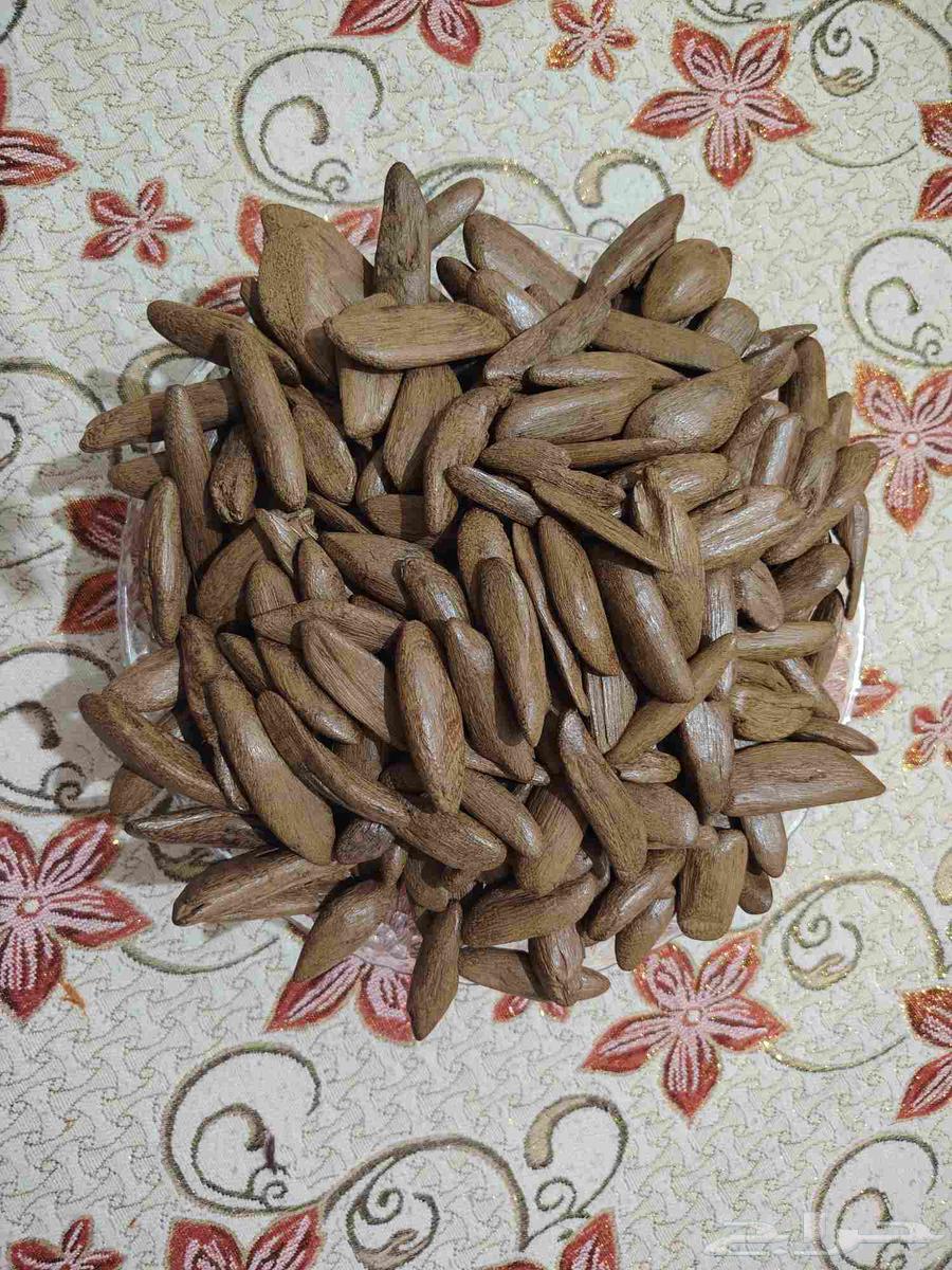 العودخ مروكي سوبر عود كفو خالي المستك64618551906691112