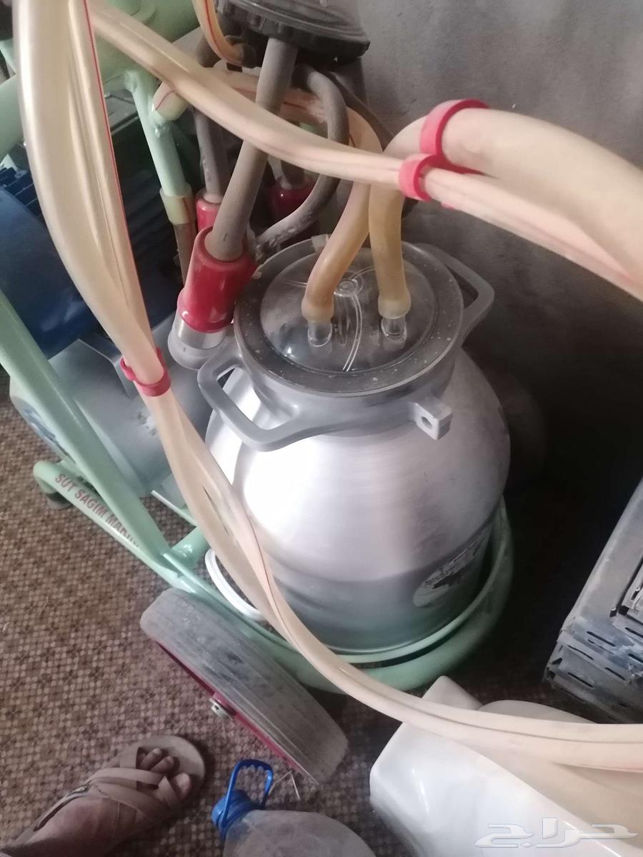 حلابه أبقار من شركه EMIRSAN التركيه64620642831107114