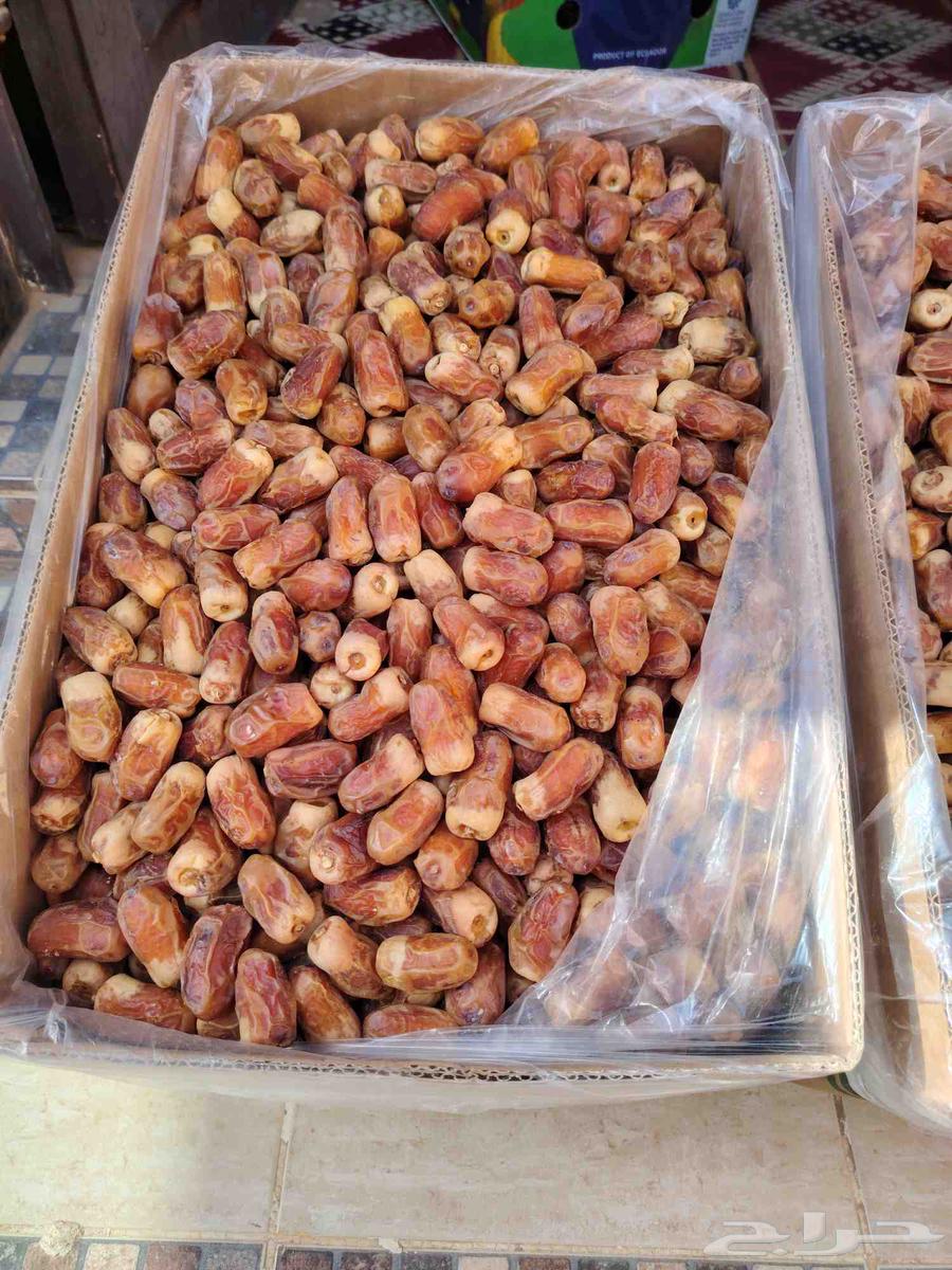 تمر صقعي للبيع64622638030211110