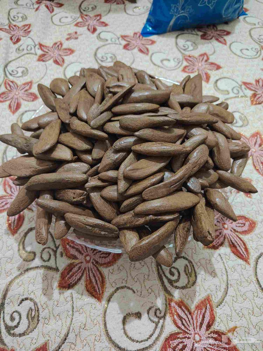 العودخ مروكي سوبر عود كفو خالي المستك64618551906691111