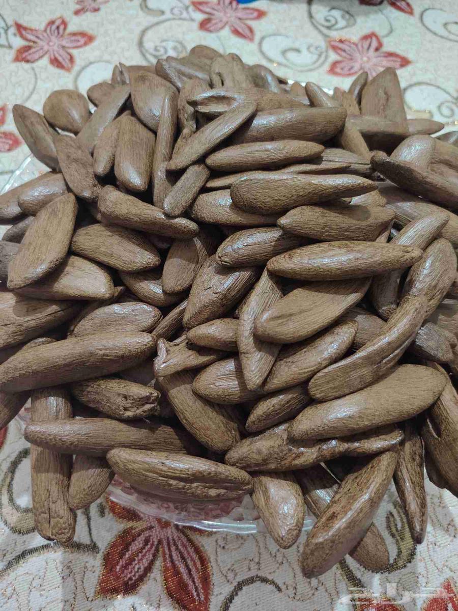 العودخ مروكي سوبر عود كفو خالي المستك64618551906691110