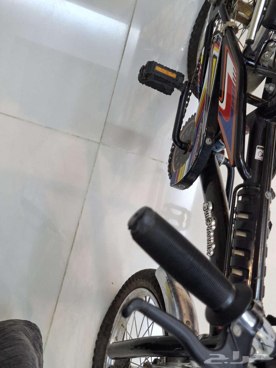 سيكل رامبو أندنوسي مقاس بكراتينه تم البيع64620655293953110