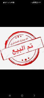 كنيور يلو سايد ذكر محلل بشهاده64564782149761111