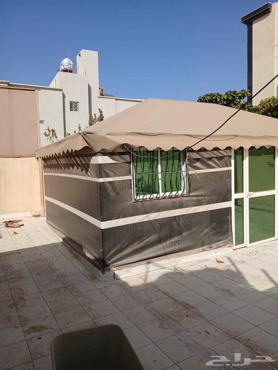 بيت شعر مجدد بالكامل نظيف64618702016387113