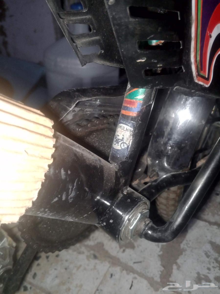 رامبو اندونيسي64616357650435114