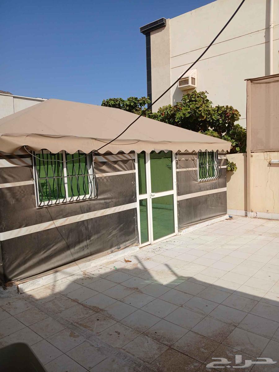 بيت شعر مجدد بالكامل نظيف64618702016387111