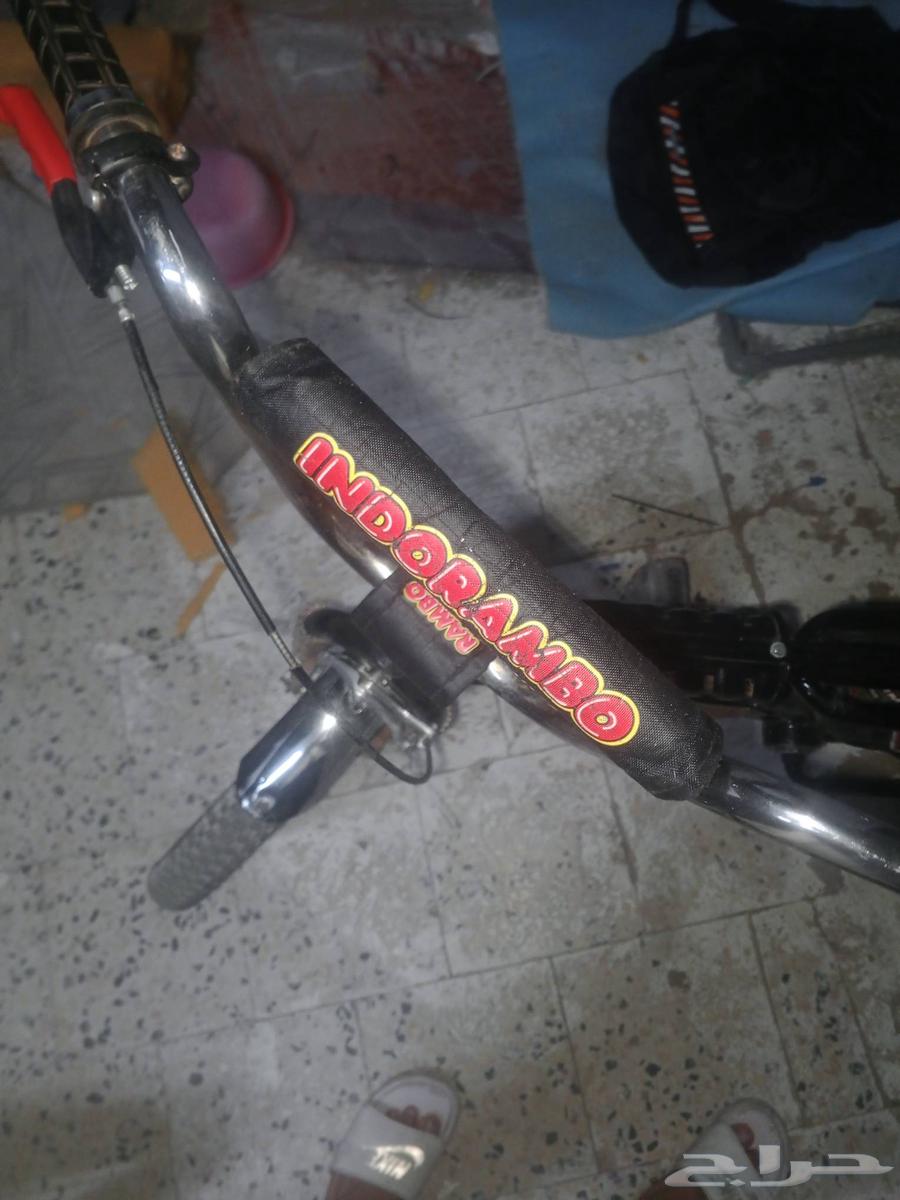 رامبو اندونيسي64616357650435111