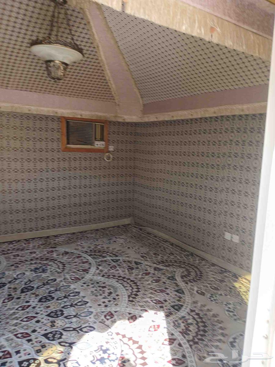 بيت شعر مجدد بالكامل نظيف64618702016387114