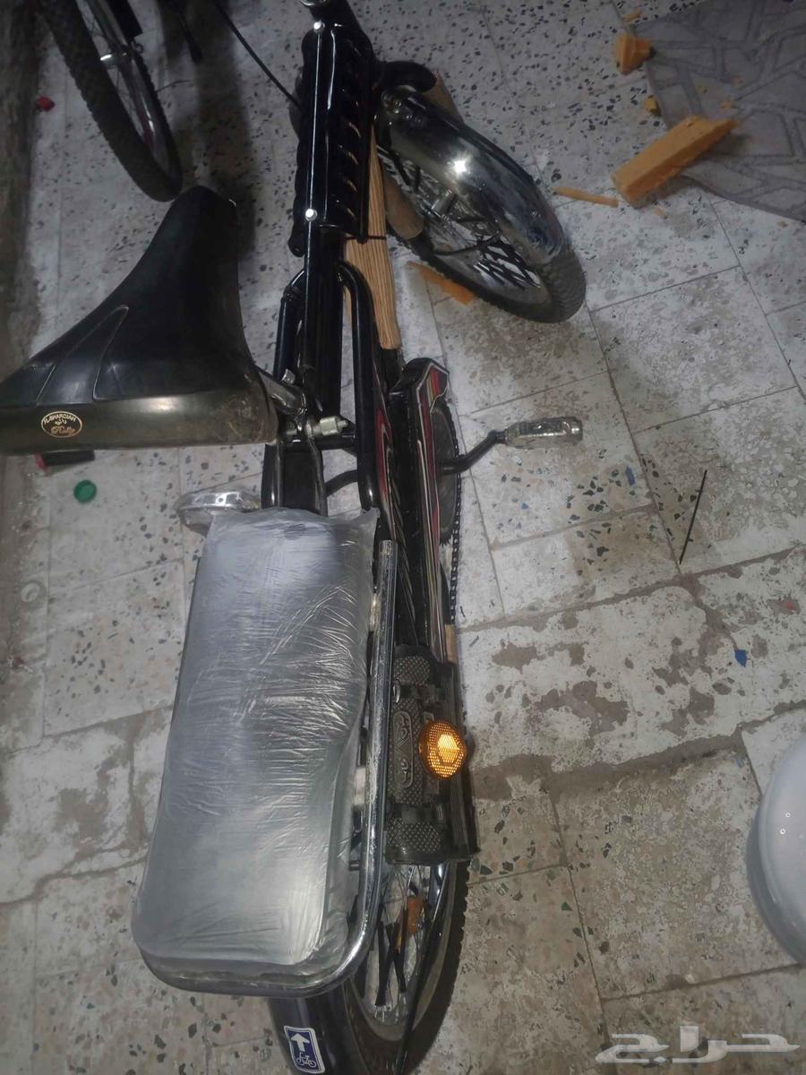 رامبو اندونيسي64616357650435113