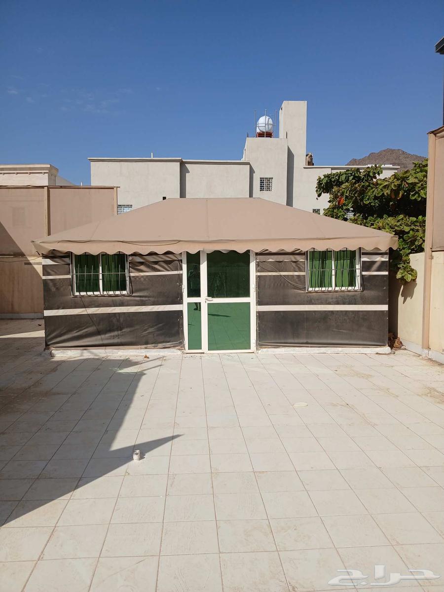 بيت شعر مجدد بالكامل نظيف64618702016387110