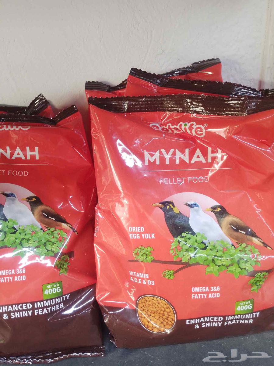 Cat and Bird Shop64620042293377114