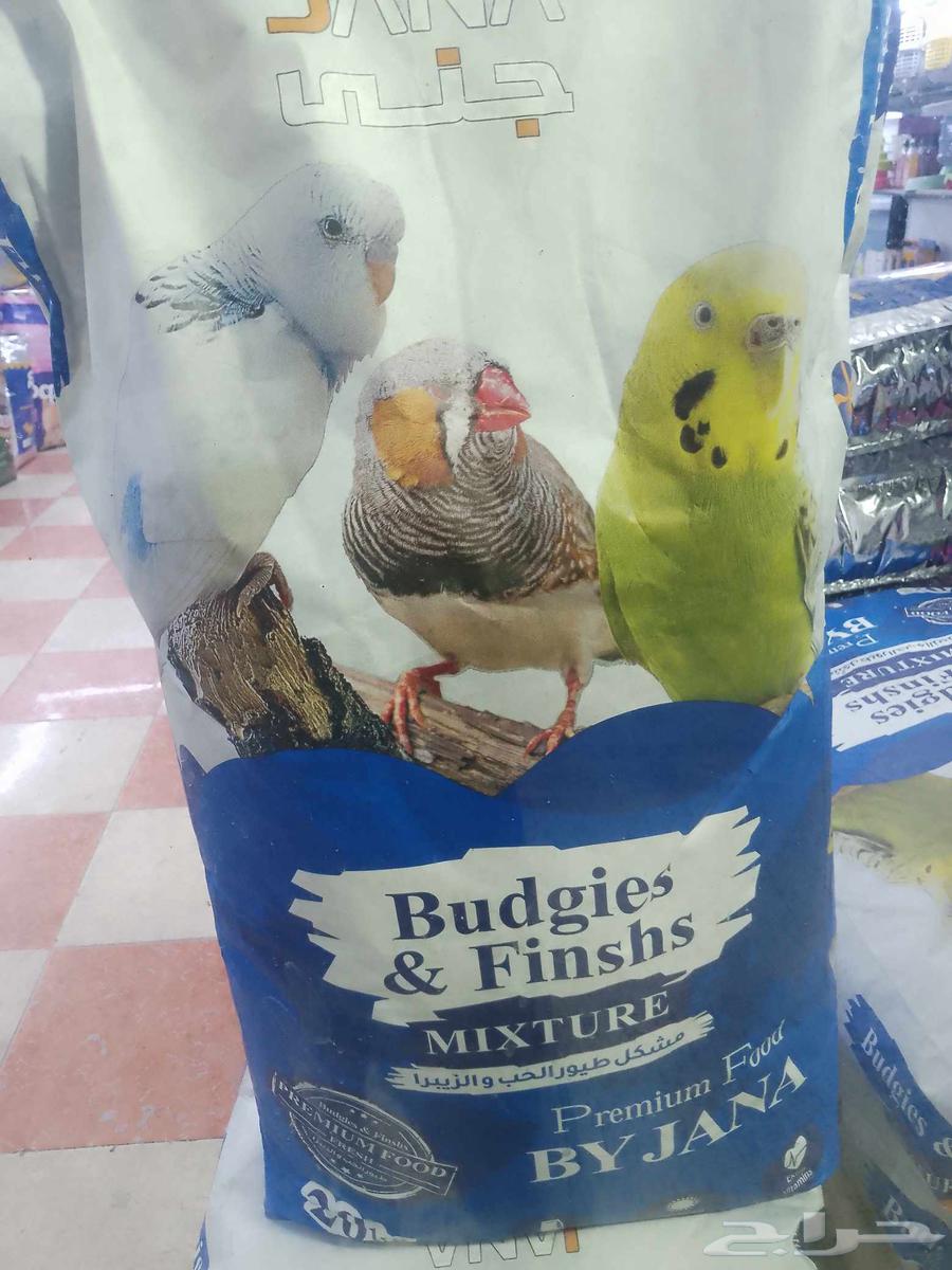 Cat and Bird Shop64620042293377111