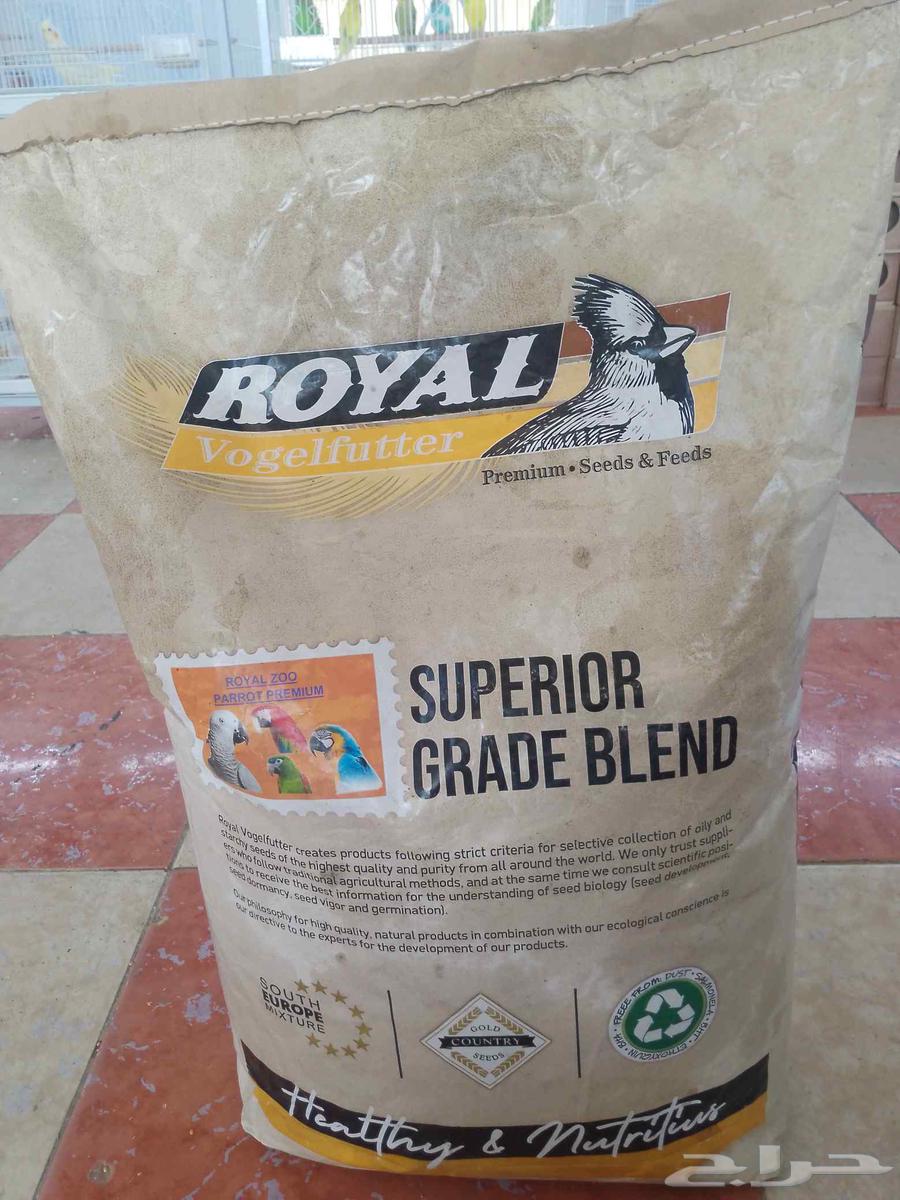 Cat and Bird Shop64620042293377112