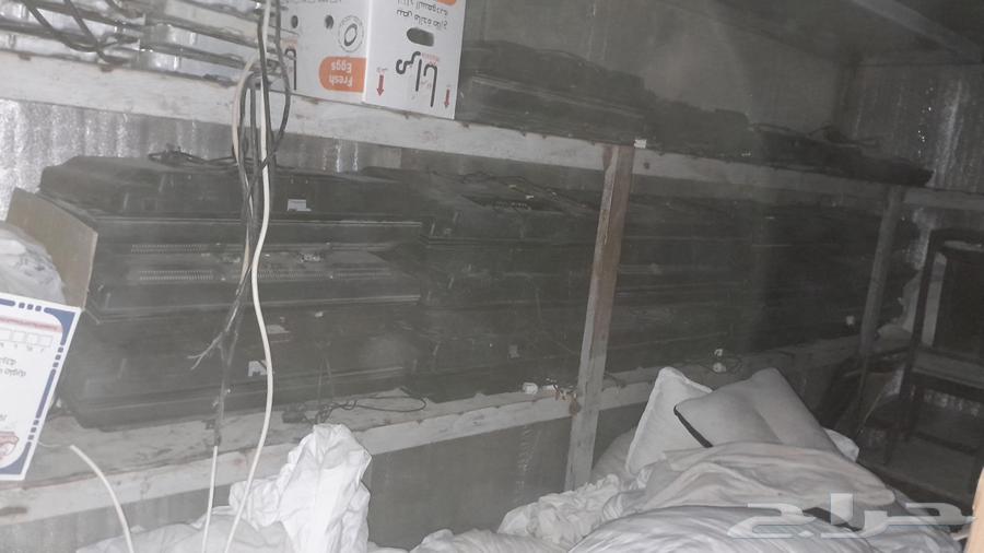 Almost new screens, all units are working64616815337601111