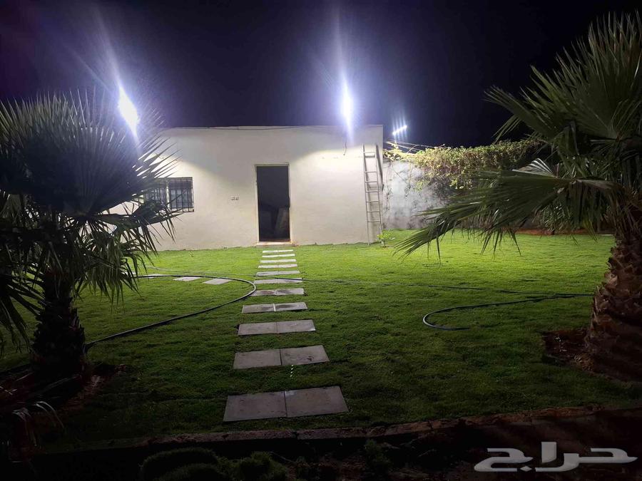 ثيل سي 2000طبيعي وصافي وطبيعي الموقع الخرج64622388694147111