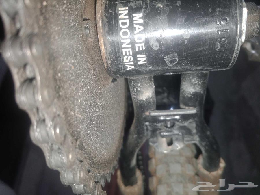 رامبو اندونيسي64616357650435110