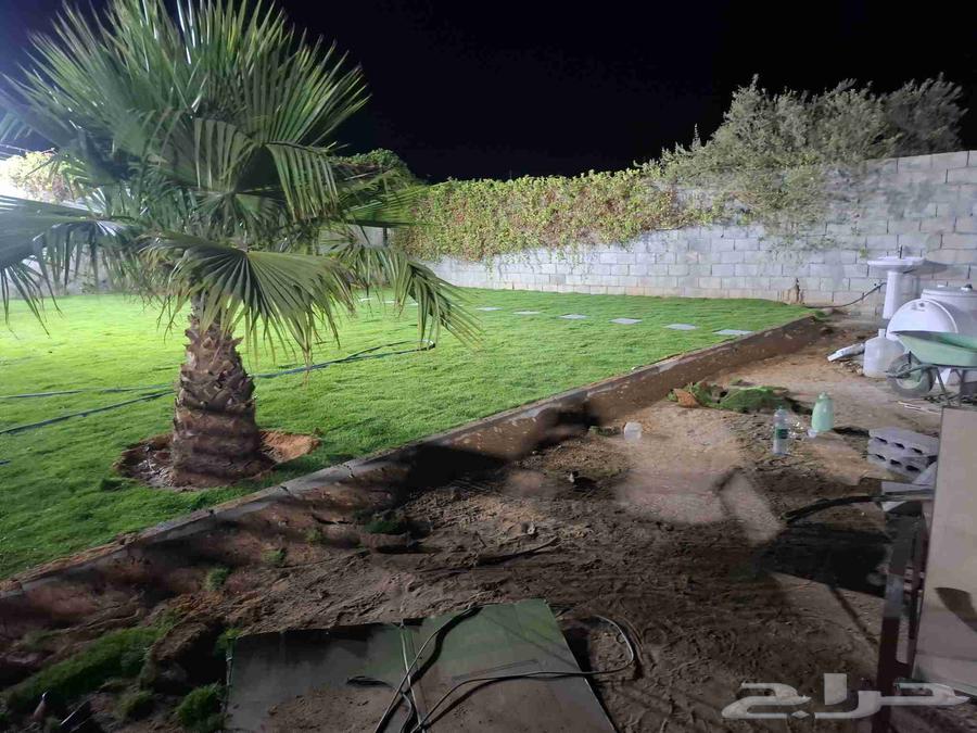 ثيل سي 2000طبيعي وصافي وطبيعي الموقع الخرج64622388694147112