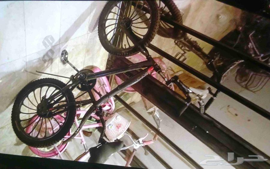 سيكل كوبرا أصلي مقعد طبي كبير السيكل مصبوغ باللون الاسود64625417366787113