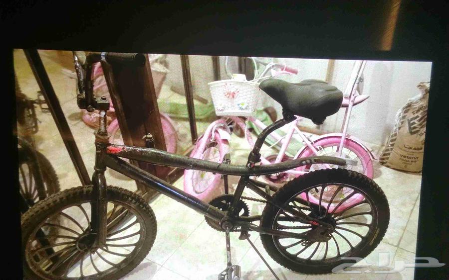 سيكل كوبرا أصلي مقعد طبي كبير السيكل مصبوغ باللون الاسود64625417366787110