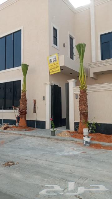 نخيل واشنطونيا ابو مروحه للبيع64617651014402111