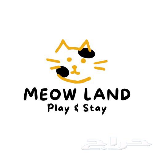 فندقة قطط الظهران الدمام الخبر64625343995393110