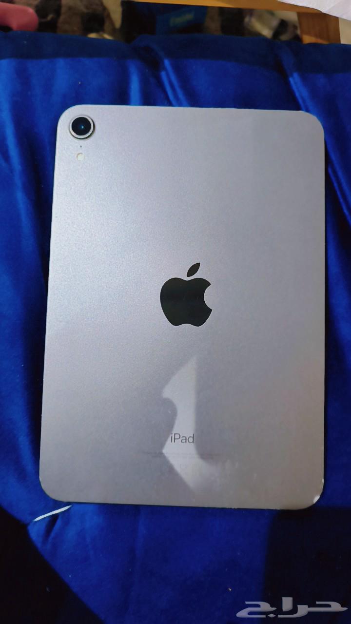 ايباد 6 ميني64617440336385111