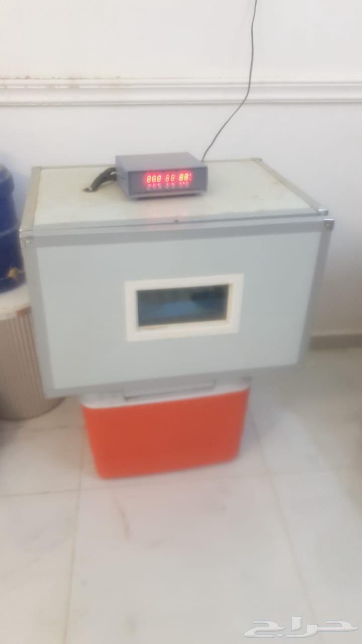 Incubator64624327605505111