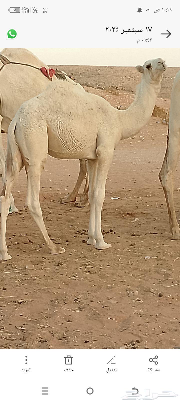 For sale: Ten units under third-floor apartment, subject to all conditions64624511965698111