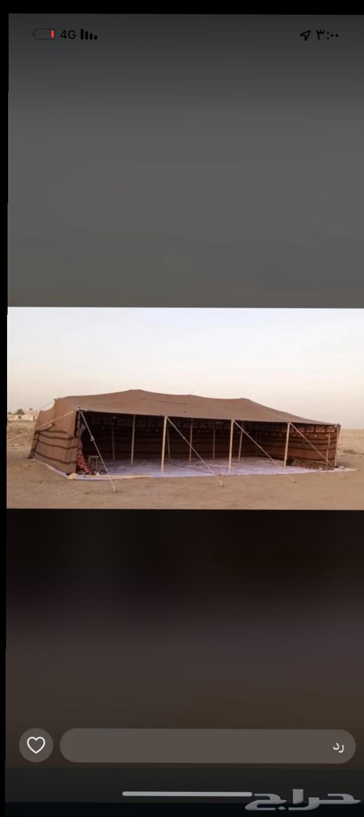 بيت شعر شمالي الاصلي بيت شعر ابيض تركي بارخص الاسعار عرض خاص64617712842115110