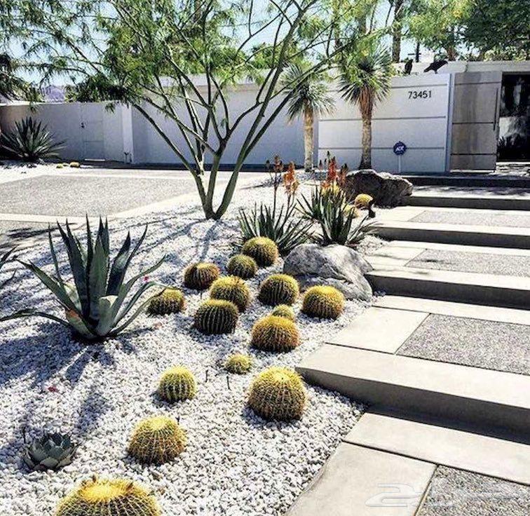 ابو رزان لتنسيق الحدائق64160922477313113