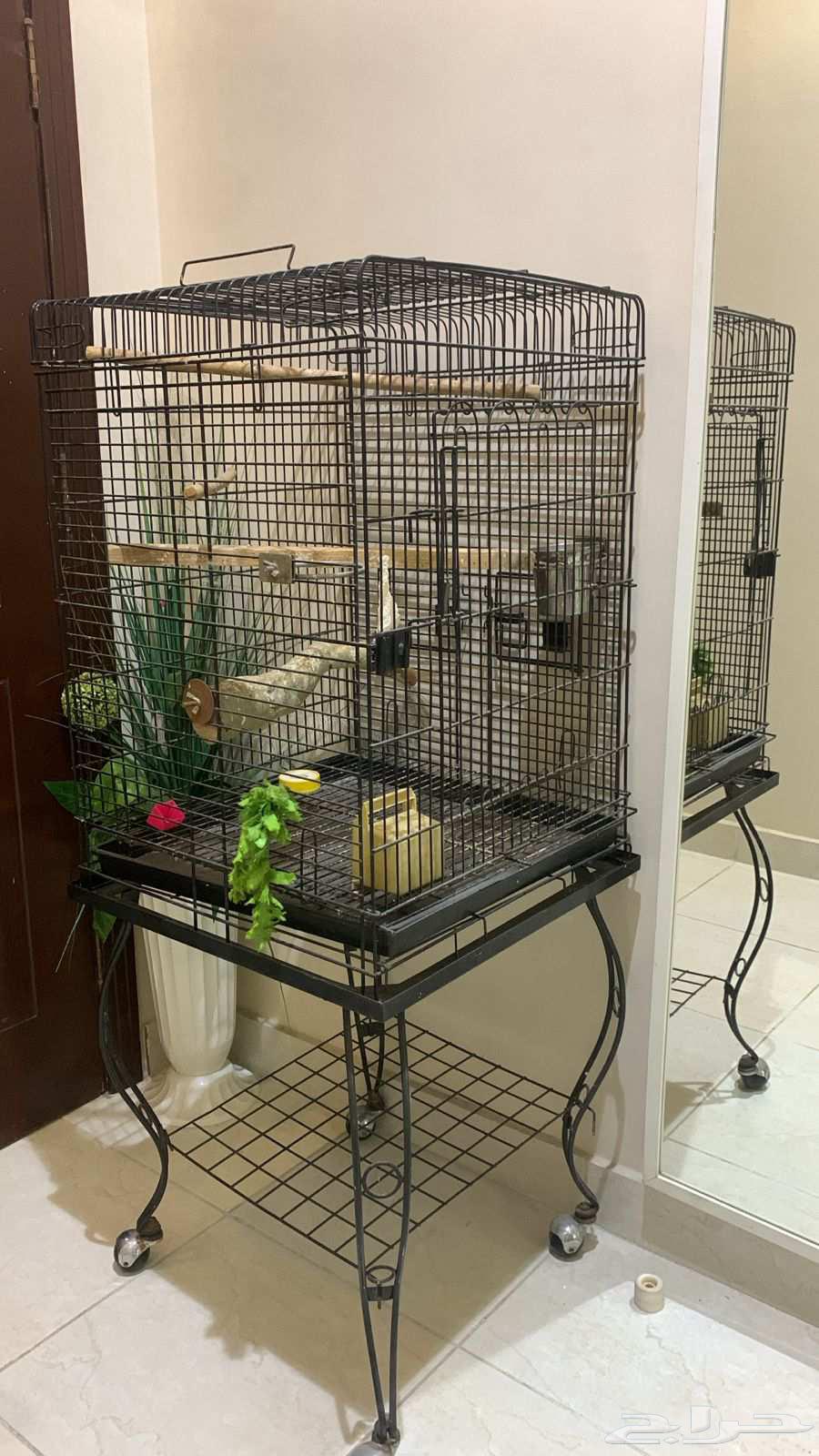 قفص طيور نضيف64619367828738113