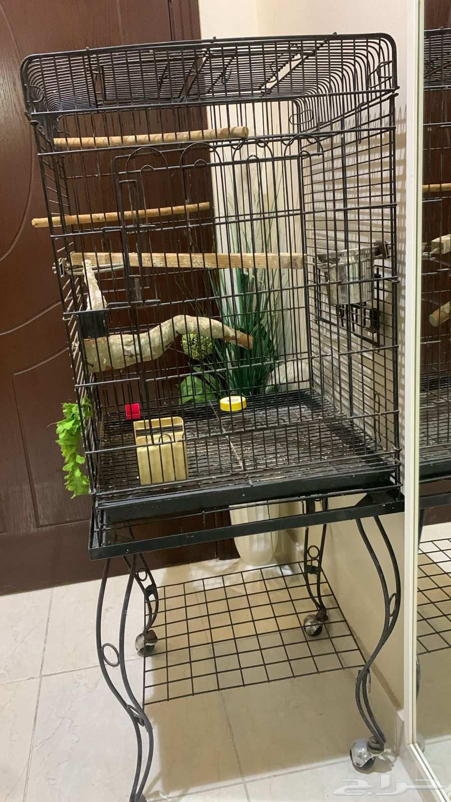 قفص طيور نضيف64619367828738112