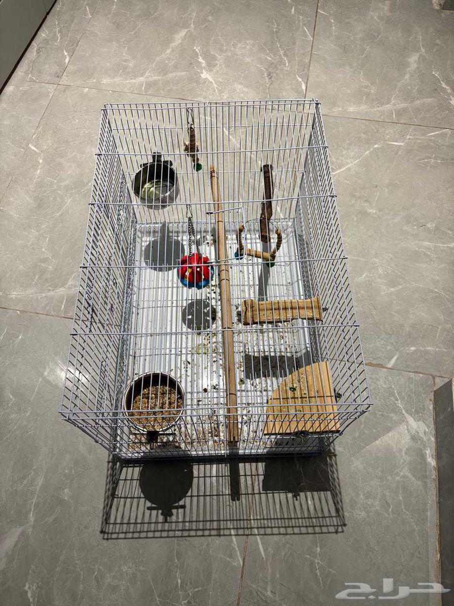 قفص مع العاب السعر 100  كبير مع العاب ترفيهيه للطير64506746524675110