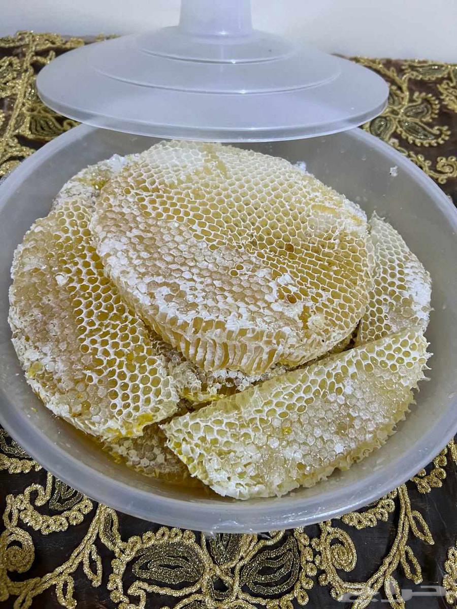 My Local Stream Honey64623011569154113