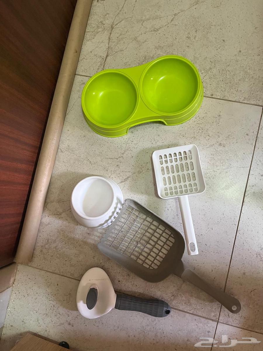 اغراض قطو للبيع64620205115907113