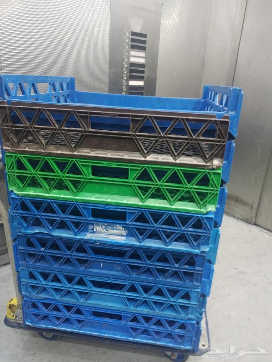 No. 150 baskets. Price: 6 riyals per basket. Contact via private message64623679846145111