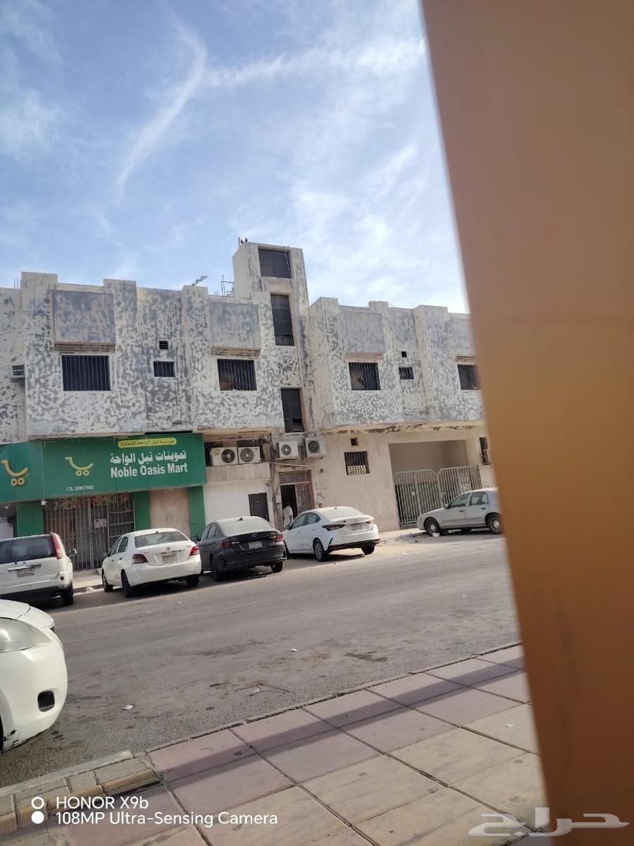 Cairo Equipment Foundation for Contracting64160920901762113