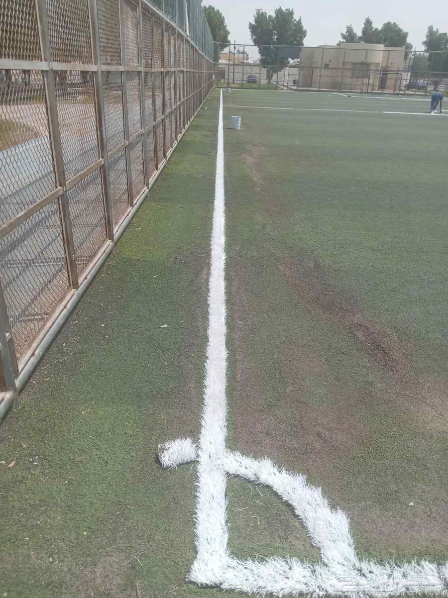 توريد وتركيب انجيله صناعيه ملاعب وحدايق سعر الجملة64451069604354114